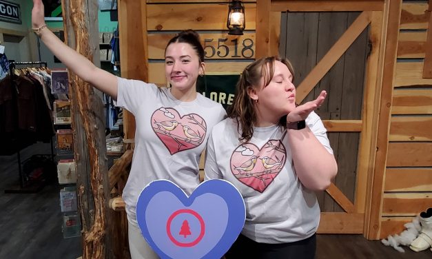 Valentine’s Day Love Birds